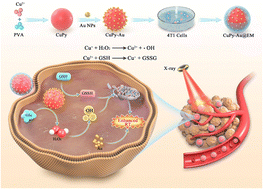 Graphical abstract: A tumor cell exosome-mimicking multifunctional nanozyme for targeted breast cancer radiotherapy