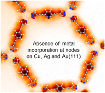 Graphical abstract: Discarding metal incorporation in pyrazole macrocycles and the role of the substrate on single-layer assemblies