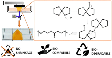 Graphical abstract: Stereolithographic 3D printing of pure poly(ether–ester) networks from spirocyclic monomers via cationic ring-opening photopolymerization at high temperatures