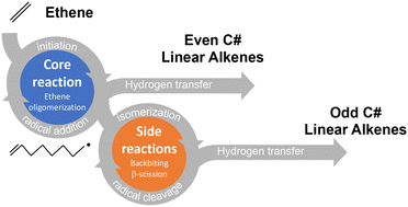 Graphical abstract: Microkinetic modeling of the homogeneous thermal oligomerization of ethylene to liquid fuel-range hydrocarbons