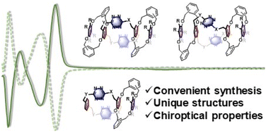 Graphical abstract: Tetrahomo corona[4]arene-based spirophanes: synthesis, structure, and properties