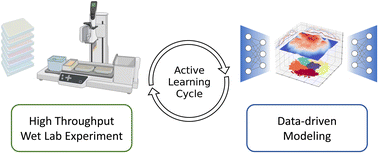 Graphical abstract: Data-driven discovery of innate immunomodulators via machine learning-guided high throughput screening