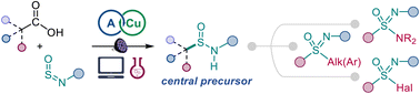 Graphical abstract: Kinetically-driven reactivity of sulfinylamines enables direct conversion of carboxylic acids to sulfinamides