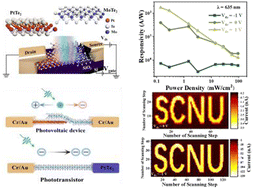 Graphical abstract: Diverse modes regulated photoresponse and high-resolution imaging based on van der Waals semimetal PtTe2/semiconductor MoTe2 junctions