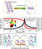 Graphical abstract: Predicted novel two-dimensional ferromagnetic VO2 with high Curie temperature and ferroelasticity