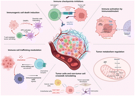 Graphical abstract: Applications of nanotechnology in remodeling the tumour microenvironment for glioblastoma treatment
