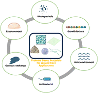 Graphical abstract: Trends in protein derived materials for wound care applications