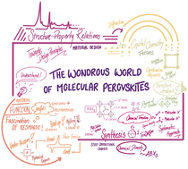 Graphical abstract: The wondrous world of ABX3 molecular perovskites