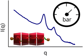 Graphical abstract: Effect of hydrostatic pressure on the supramolecular assembly of surfactant-cyclodextrin inclusion complexes