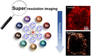 Graphical abstract: Advancing super-resolution microscopy with metal complexes: functional imaging agents for nanoscale visualization