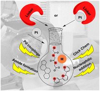 Graphical abstract: Synthetic routes and chemical structural analysis for guiding the strategies on new Pt(ii) metallodrug design