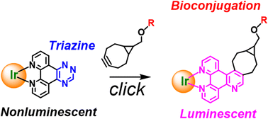 Graphical abstract: Annealing 1,2,4-triazine to iridium(iii) complexes induces luminogenic behaviour in bioorthogonal reactions with strained alkynes