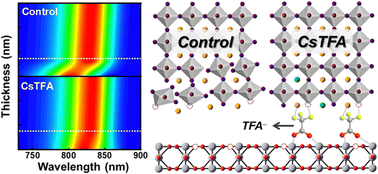 Graphical abstract: Constructing orderly crystal orientation with a bidirectional coordinator for high efficiency and stable perovskite solar cells