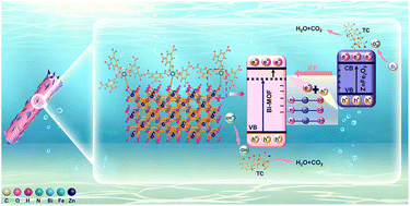 Graphical abstract: Interfacial Bi–O–Zn bonding induces faster charge transfer in S-scheme Bi-MOF/ZnFe2O4 heterojunction for enhanced photocatalytic tetracycline elimination