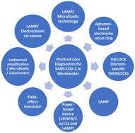 Graphical abstract: Point-of-care diagnostics for SARS-CoV-2 wastewater-based epidemiology: a big leap toward miniaturization
