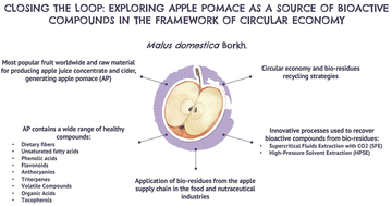 Graphical abstract: Closing the loop: exploring apple pomace as a source of bioactive compounds in the framework of circular economy