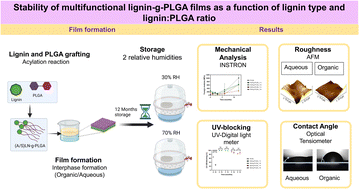 Graphical abstract: Stability of multifunctional lignin-g-PLGA films as a function of lignin type and lignin : PLGA ratio