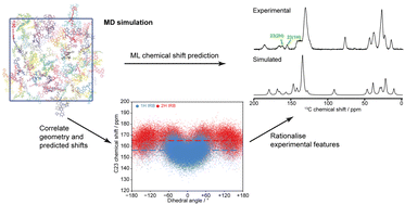 Graphical abstract: The essential synergy of MD simulation and NMR in understanding amorphous drug forms