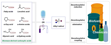 Graphical abstract: Advances of the past 12 years in decarboxylation of biomass carboxylic acids to biofuels and high-value chemicals via photo- or electrocatalysis