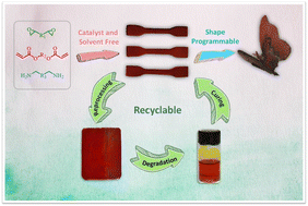 Graphical abstract: Reprocessable, recyclable and shape programmable epoxy vitrimers