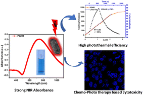 Graphical abstract: NIR-responsive porous gold nanorod dispersed in a 3D gelatin scaffold for stimulus-responsive drug release and synergistic therapy