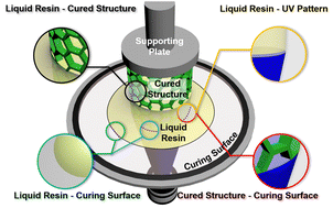 Graphical abstract: Recent innovations in interfacial strategies for DLP 3D printing process optimization