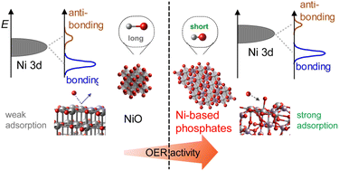 Graphical abstract: Oxygen evolution activity of nickel-based phosphates and effects of their electronic orbitals