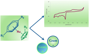 Graphical abstract: Sandwich-type (η6-p-cymene)Ru(η5-thiophene) complexes: synthesis, spectroscopic and electrochemical characterization, and antimicrobial activity