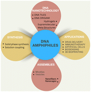 Graphical abstract: DNA-amphiphilic nanostructures: synthesis, characterization and applications