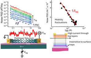 Graphical abstract: Charge noise in low Schottky barrier multilayer tellurium field-effect transistors