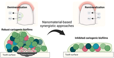 Graphical abstract: Nanomaterial-based synergistic strategies for combating dental caries: progress and perspectives