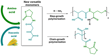 Graphical abstract: Synthesis of biobased and versatile monomers from itaconic acid and homocysteine thiolactone and their applications in step-growth and radical polymerization approaches
