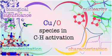 Graphical abstract: Copper–oxygen adducts: new trends in characterization and properties towards C–H activation