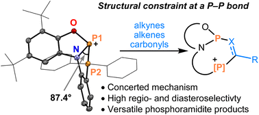 Graphical abstract: Structural constraint at a P–P bond: phosphinophosphination of alkenes, alkynes, and carbonyls by a concerted mechanism