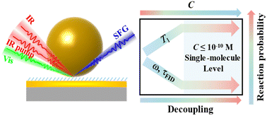 Graphical abstract: Single-molecule-level detection of interfacial molecular structures and ultrafast dynamics