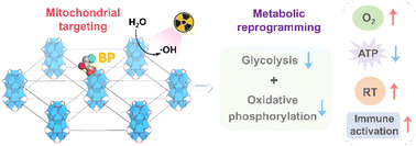 Graphical abstract: Metal–organic layer delivers 3-bromopyruvate to mitochondria for metabolic regulation and cancer radio-immunotherapy
