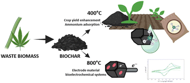Graphical abstract: Cannabis sativa biochar: characterization and preliminary application in plant growth and adsorption, and as an electrode material
