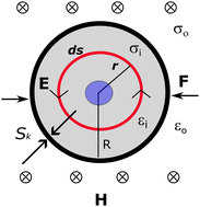 Graphical abstract: On the origin of the biological effects of time varying magnetic fields: quantitative insights