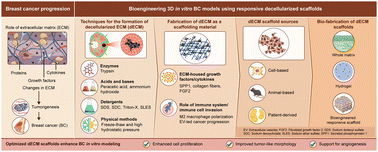 Graphical abstract: Decellularized extracellular matrix-based bioengineered 3D breast cancer scaffolds for personalized therapy and drug screening