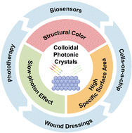 Graphical abstract: Colloidal photonic crystals towards biological applications