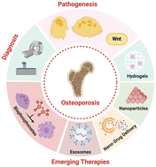 Graphical abstract: Re-engineering bone: pathogenesis, diagnosis and emerging therapies for osteoporosis