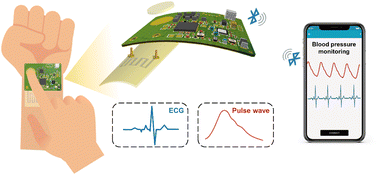 Graphical abstract: A dual-mode wearable sensor with electrophysiological and pressure sensing for cuffless blood pressure monitoring