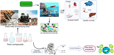 Graphical abstract: Laccase-mediated degradation of emerging contaminants: unveiling a sustainable solution