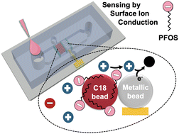 Graphical abstract: Extension of microscale surface ion conduction (μSIC) to the sensing of charged small molecules: application to per- and poly-fluoroalkyl substances (PFASs)