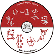 Graphical abstract: Diphanes: cage-like compounds featuring two cavities