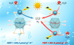 Graphical abstract: Modulation of the surface active site number in Pt1Ag14 nanoclusters by ligand engineering to boost photocatalytic H2 production