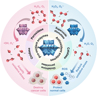 Graphical abstract: Harnessing the Janus-faced nature of polyoxometalates to regulate cellular redox homeostasis