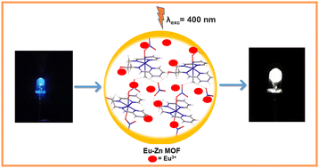 Graphical abstract: Cu- and Zn-based 1D MOFs as hosts to encapsulate Eu(iii) for tuning white light emission