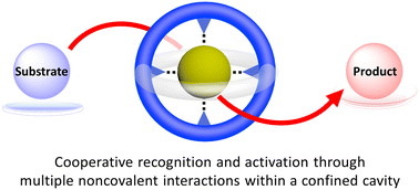 Graphical abstract: Supramolecular catalysis with emerging, functional organic macrocycles and cages