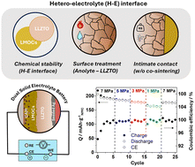 Graphical abstract: Conformal hetero-electrolyte interface between soft oxyhalides and garnet enables low-pressure lithium-reservoir-free solid-state batteries